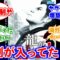 【規制？】龍が如く3さん、リマスター版でパッケージの桐生一馬さんの口元からタバコが消えるに対するみんなの反応集